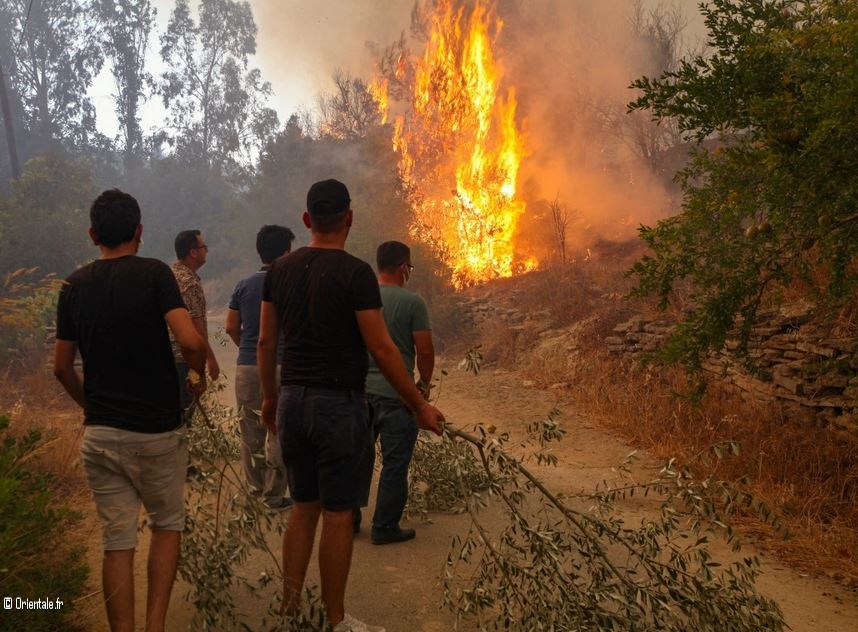 Des feux de fort en Turquie