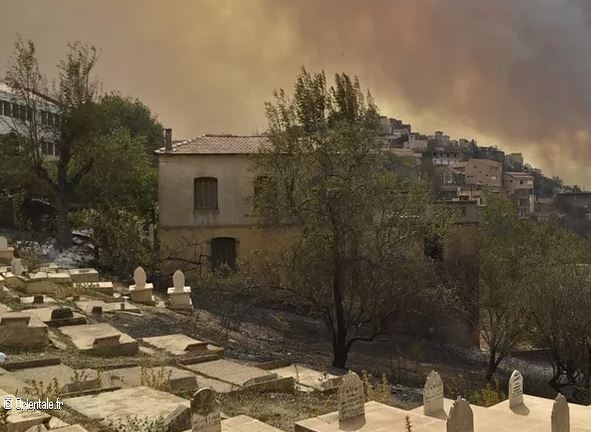 Une colline de Tizi Ouzou