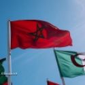 Drapeaux marocain et algrien