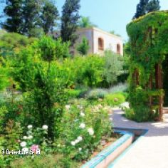 Jardin islamique de Fustat en Egypte, 2018