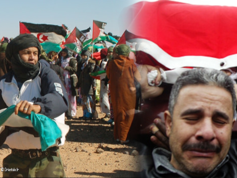 Militants Sahraouis - Militants Palestiniens : mme combat