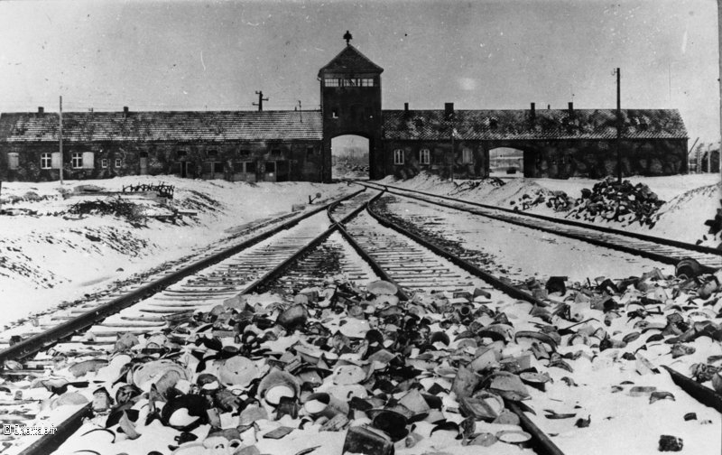 Auschwitz Einfahrt