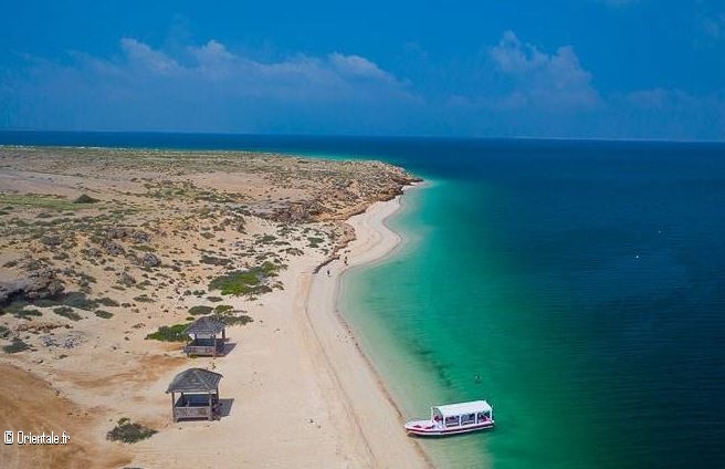 Jizan lieu paradisiaque mais souvent attaqué Jizan lieu paradisiaque mais souvent attaqué