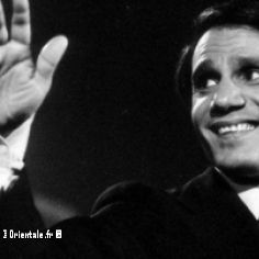 Halim Hafez