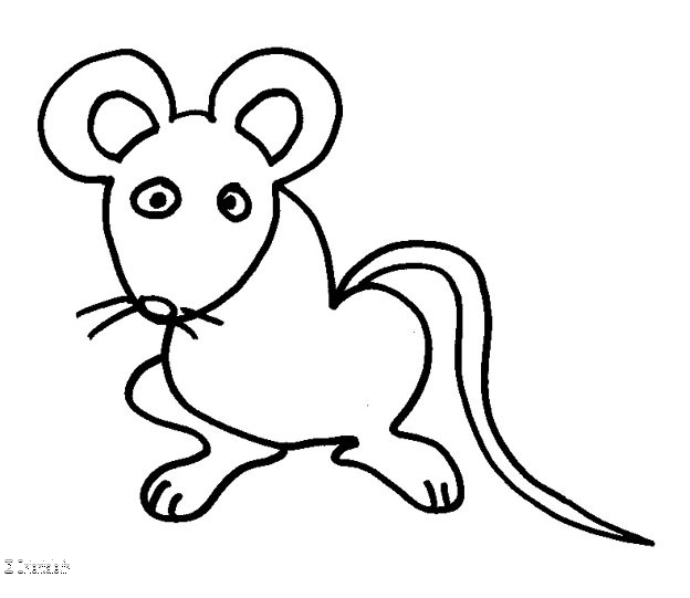Rat Rat
