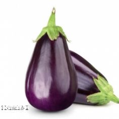 Aubergine, lgume mditerranen