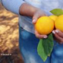 Une femme rurale tient des oranges