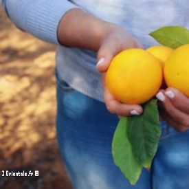 Une femme rurale tient des oranges