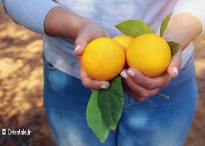 Une femme rurale tient des oranges