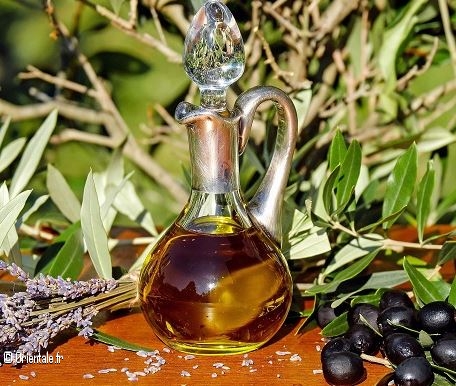 Producteur d'huile d'olive