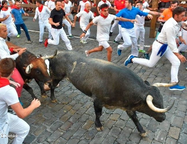 Homme encorné en Espagne Homme encorné en Espagne