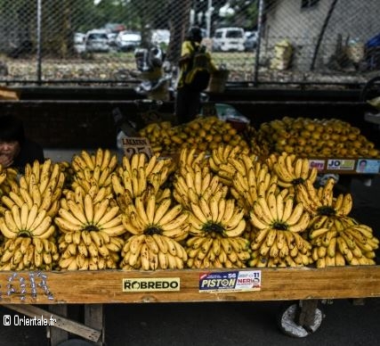 Comptoir de bananes