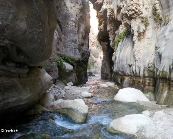 L'oued Karak, Jordanie