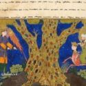 Illustration Islam - premier millénaire