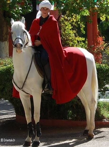 Centre questre de Chaouchaoua, cavalier algrien en tenue traditionnelle