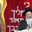 Rabbin qui interprète la Loi d'après le Shulchan Aruch