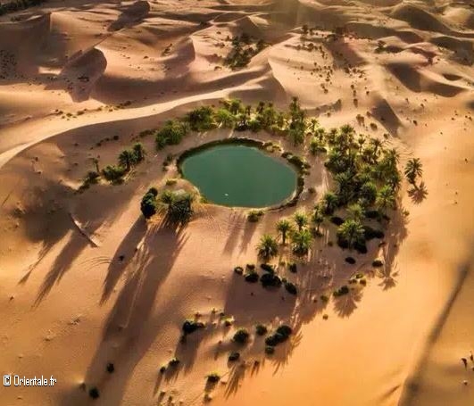 Le Rub Al-Khali depuis les inondations torrentielles