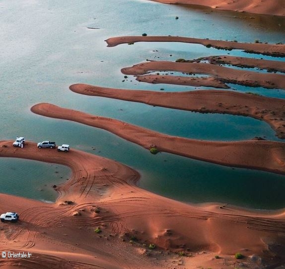 Dsert du Rub Al Khali aprs les inondations de l't