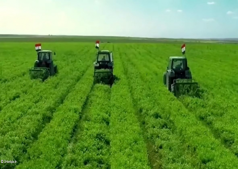 Le secteur agricole est parmi les trois secteurs qui ont le plus contribu au PIB