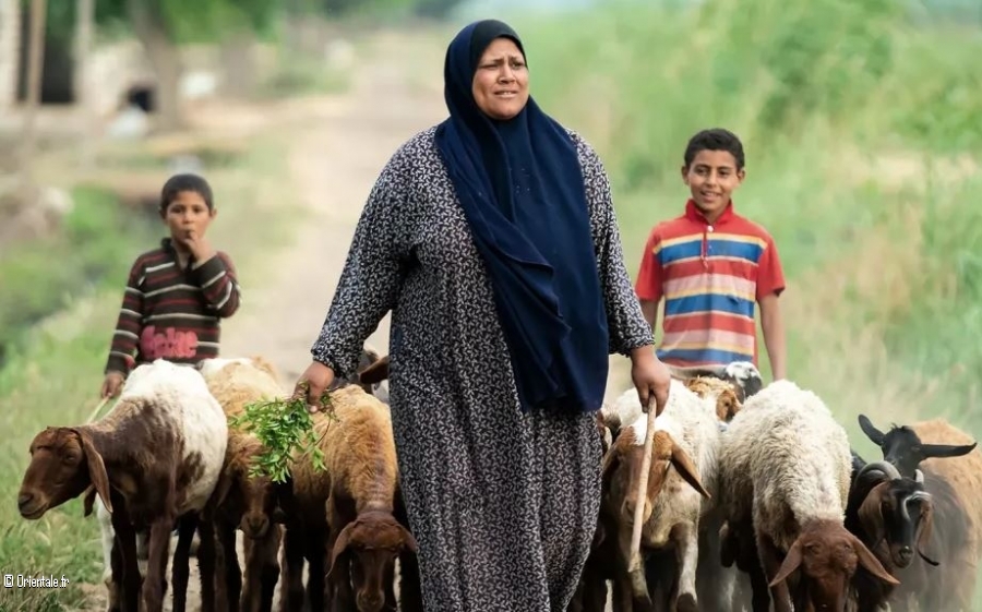 Une agricultrice gyptienne