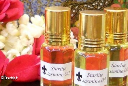 Jasmin d'Egypte