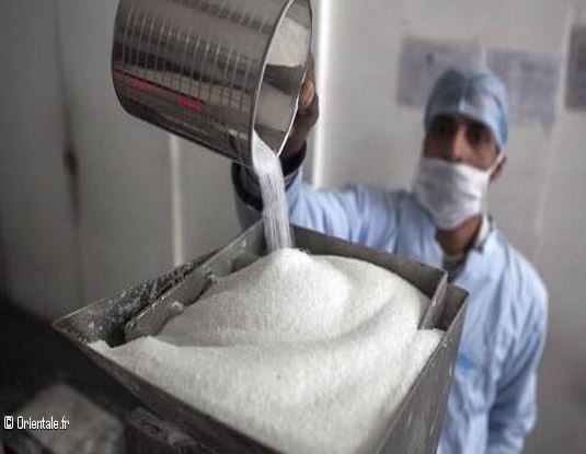 Création d'une nouvelle entreprise de sucre Création d'une nouvelle entreprise de sucre