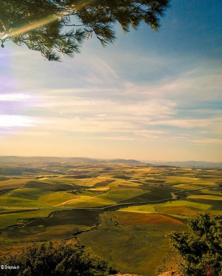 Rgion des Hauts-Plateaux en Algrie