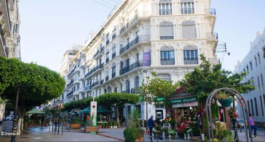 Une rue commerante  Alger (Didouche Mourad)