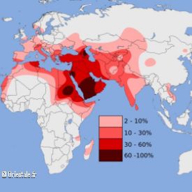R�partition de l'haplogroupe J (chromosome Y)