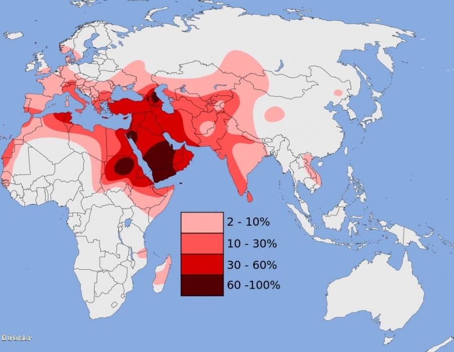 Répartition de l'haplogroupe J (chromosome Y) Répartition de l'haplogroupe J (chromosome Y)