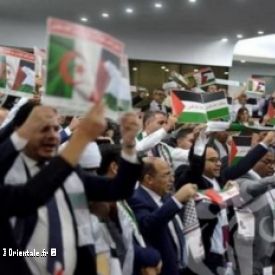 Les d�put�s alg�riens portent le keffieh et brandissent des drapeaux palestiniens