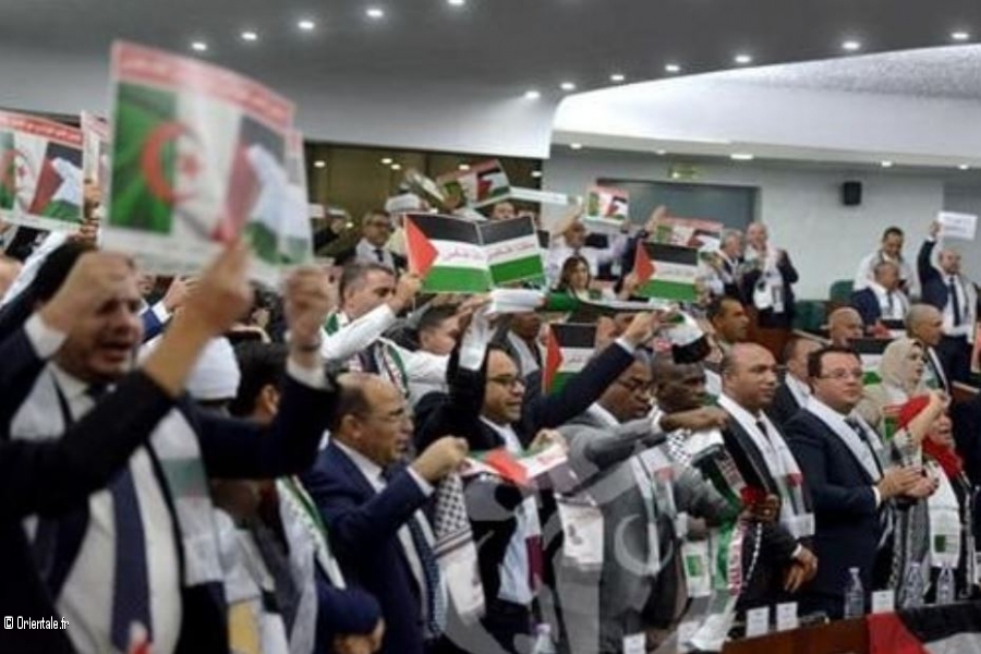 Les députés algériens portent le keffieh et brandissent des drapeaux palestiniens Les députés algériens portent le keffieh et brandissent des drapeaux palestiniens