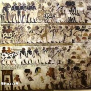 Autres civilisations