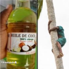Fabrication artisanale d'huile en Afrique